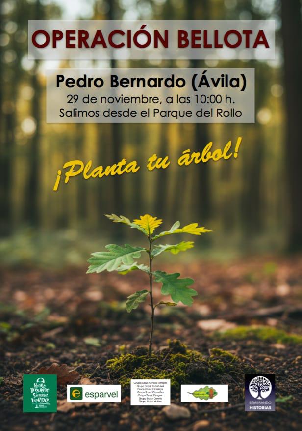 OPERACIÓN BELLOTA 2025