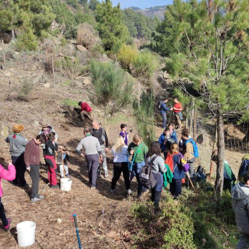 473284556_944493960992400_3126325970362662966_n