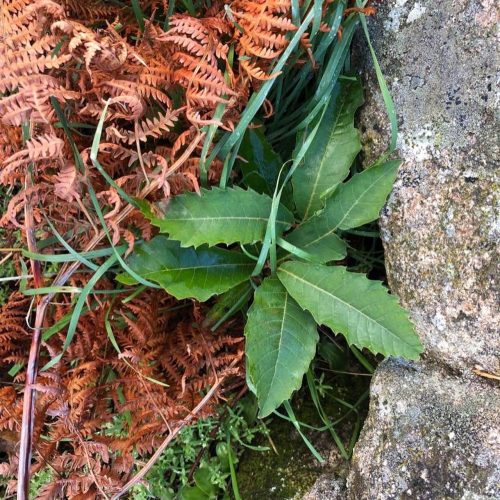 473336814_943864677721995_8202304531698375911_n