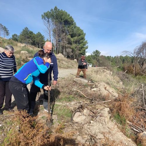 494385386_1237521158373897_2080248818026100356_n