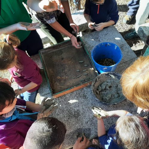 473645382_944494227659040_8605449255939446816_n