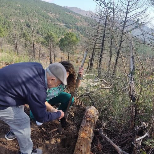 494393610_1237521318373881_8686398175705518049_n