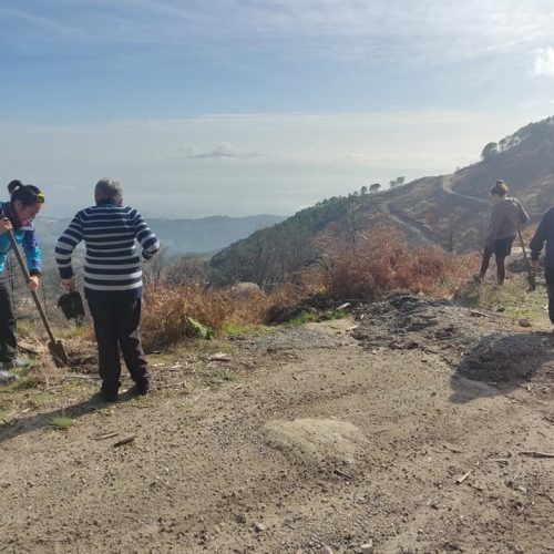 494541539_1237521141707232_8204168255076624013_n